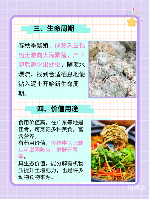 红足一1世平台红足一，神秘生物的探索之旅-第2张图片