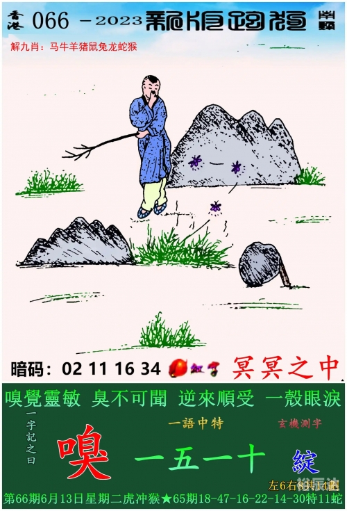 今天开的特马结果令人振奋