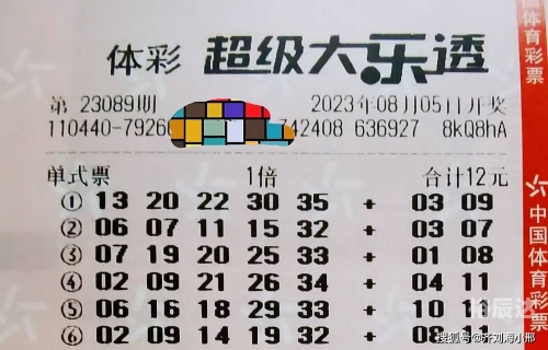 彩票王传奇，财富与梦想的交织