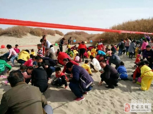 红太阳论坛，探索网络交流的新天地