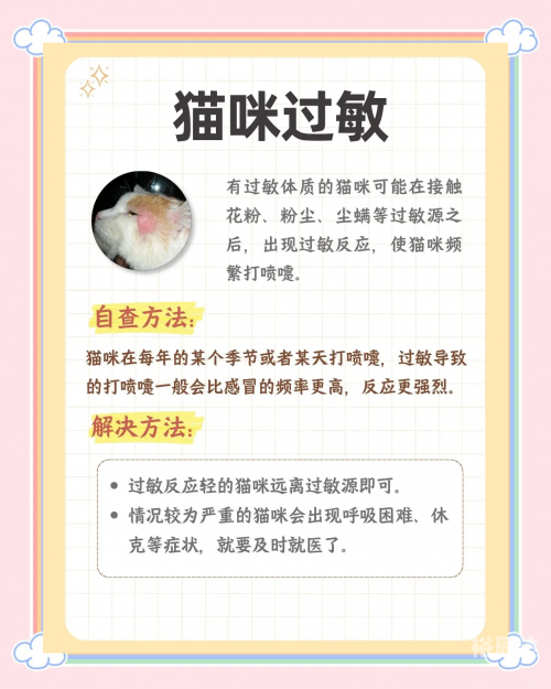 打喷嚏与闭眼睛的原理-第2张图片