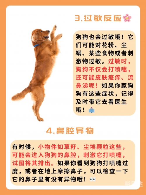 打喷嚏与闭眼睛的原理-第3张图片
