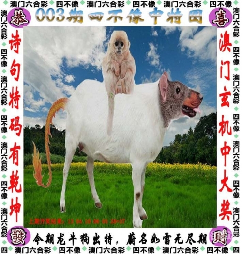管家婆结果澳门赌侠彩图管家婆CRM123696澳门，数字化管理的新篇章