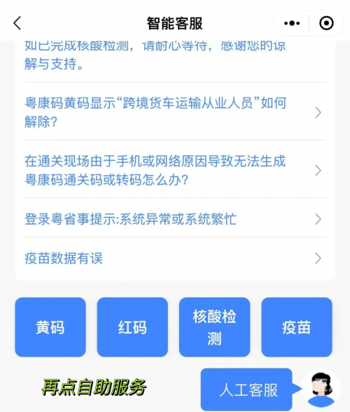 2020澳门特料码特网站手机版澳门特料码2020，探索独特魅力
