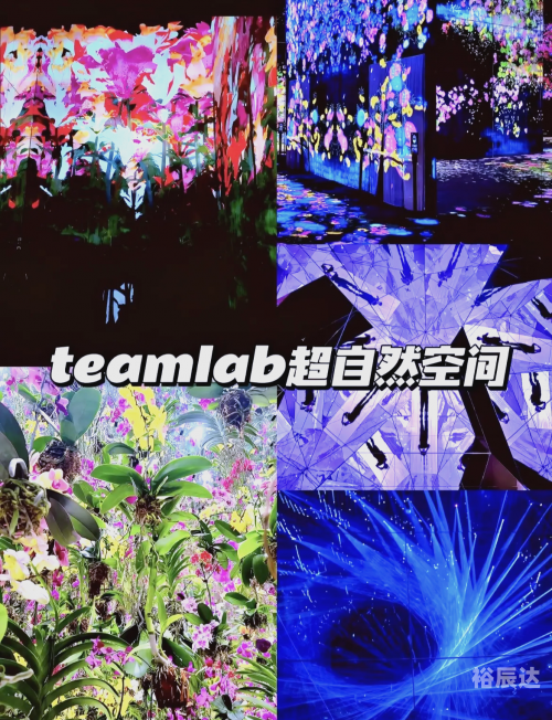 澳门最准最快免费资料澳门最准最快免费资料介绍
