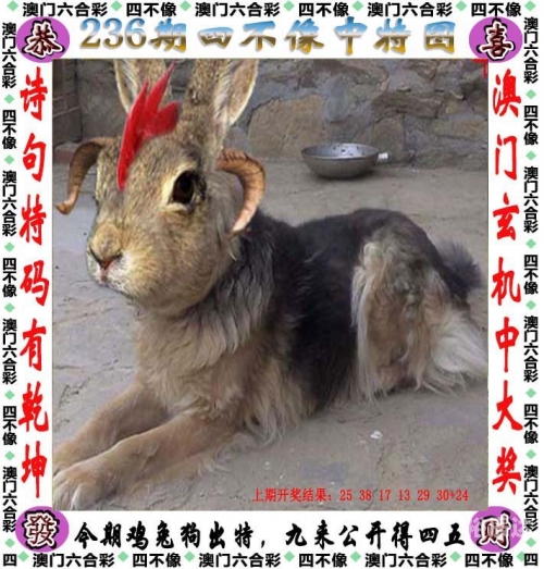 246zl天天好彩免费资料大全246zl天天好彩免费资料大全-第2张图片