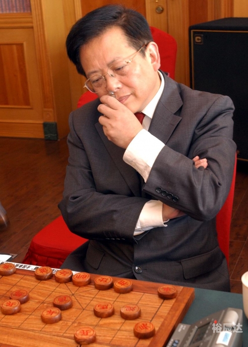 中国象棋大师王，棋艺精湛，成就非凡-第3张图片