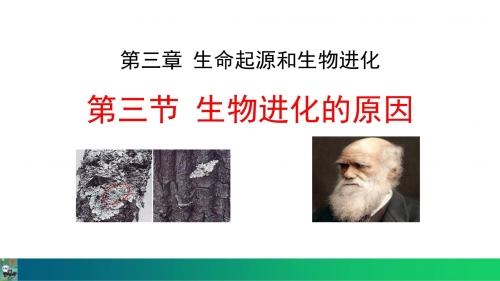 进化与演进的探索-第2张图片