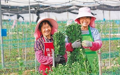 采摘网牛彩预测采摘网，高效便捷的农业工具-第3张图片