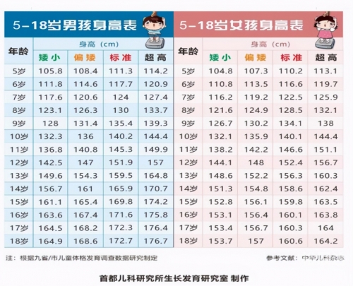 13262cm查询开奖历史身高突破13262cm的非凡之旅-第3张图片