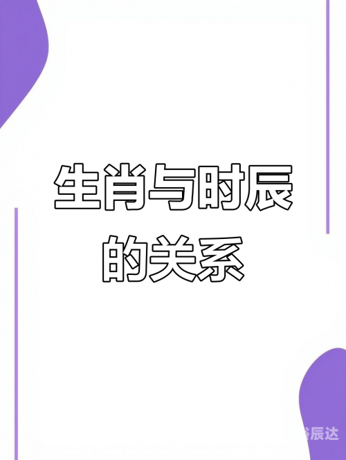 百度天下一家是什么生肖百度天下，探索数字时代的无限可能-第3张图片