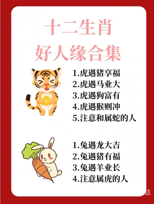 百度天下一家是什么生肖百度天下，探索数字时代的无限可能-第2张图片