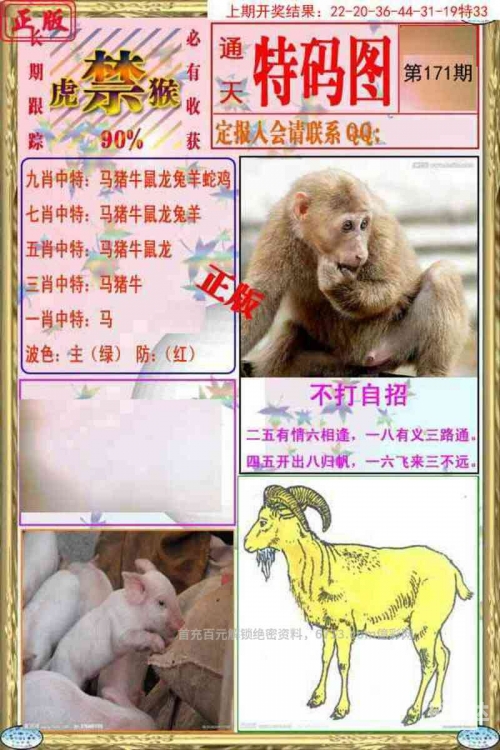 澳门免费开奖大全，49图库揭秘-第2张图片