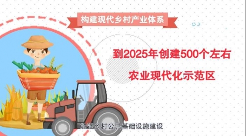 河南日报农村版电子版大河网河南日报农村版电子版，乡村振兴的新引擎-第2张图片