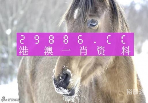 一码一肖100准打开码结果一码一肖100准，开启码之神秘结果