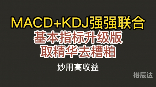 彩票强强彩票强强，探索彩票市场的深度与广度