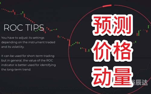 刘伯温三期一肖必开一期刘伯温三期一肖必开一期，预测与策略
