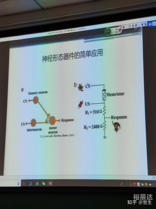 天机网，探索神秘的网络世界