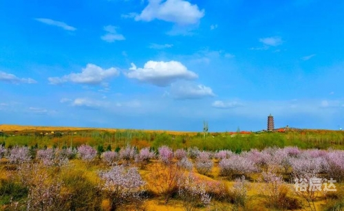 石嘴山旅游景点大全排名石嘴山旅游景点大全