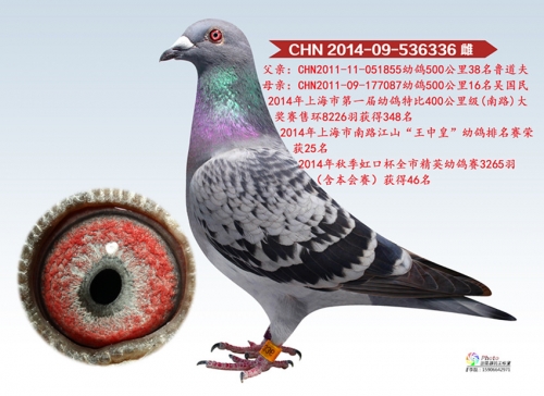 王中王493333中特一网 小说 m.4rbygyw.icu王中王493333中特1肖的故事