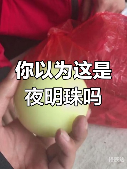 夜明珠到底是什么东西夜明珠57112-第2张图片