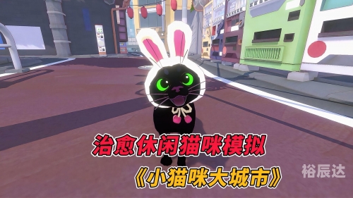 小猫咪大城市小猫咪在大城市的生活-第2张图片
