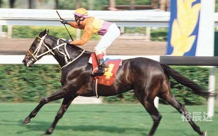 六喝彩开奖结果 香港六喝彩开奖结果，香港的奇迹与荣耀-第3张图片