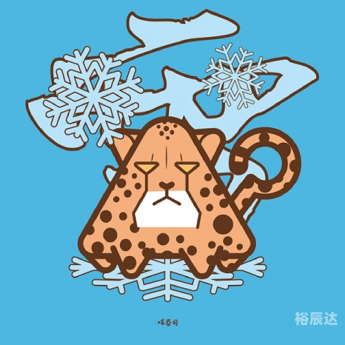三脚猫论坛，探索网络交流的新天地-第2张图片
