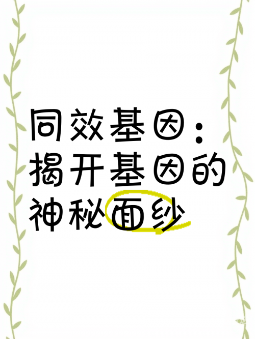 彩票程序彩票程序，揭开神秘面纱
