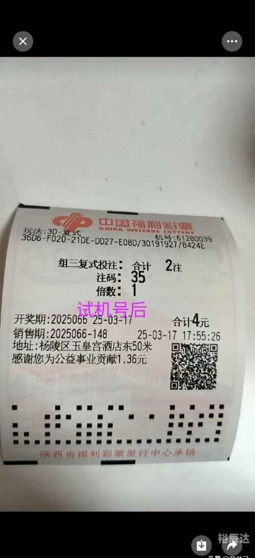 二肖3码二肖3码，彩票投注的智慧与策略