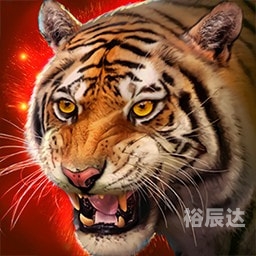 老虎宝典2024年最新版老虎宝典，解锁自然之秘-第2张图片