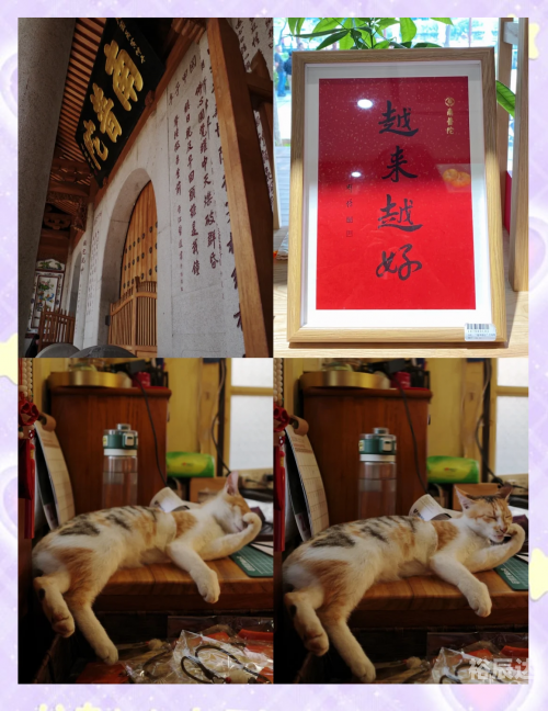 246天天好彩(5334cc)——把握未来，好运连连