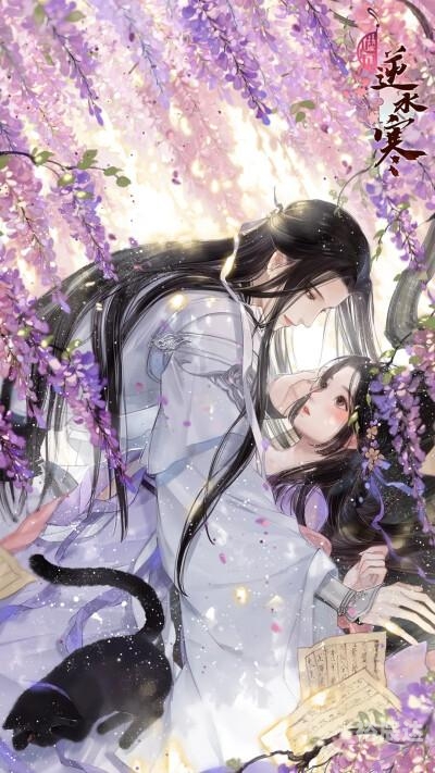 神医傻妃传奇
