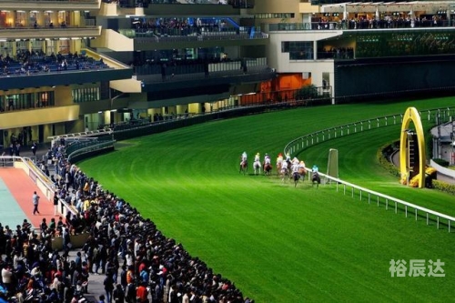 香港马会2019 开奖结果历史记录香港马会2019开奖结果历史记录-第2张图片