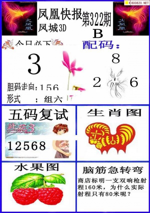 福彩3d白天鹅图库，探索神秘彩票世界
