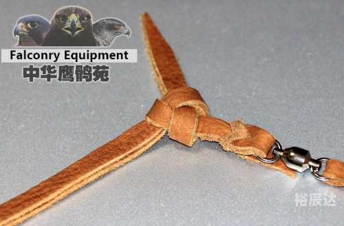 中华鹰鹘苑中华鹰鹘苑，中华自然之美与生态保护的典范-第2张图片
