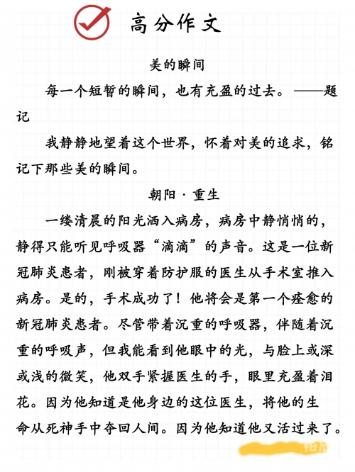 好日子论坛，探索生活中的美好时刻