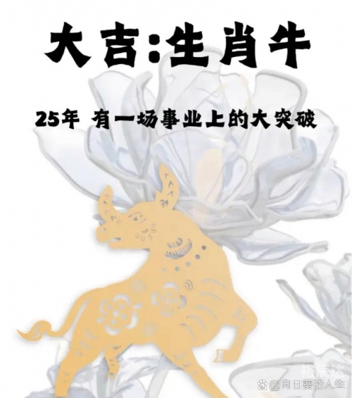 一起牛，共享奋斗与成功的旅程-第1张图片