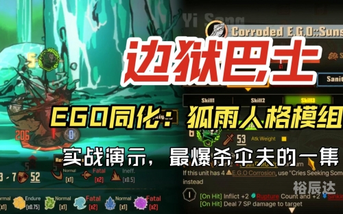 狐狸雨