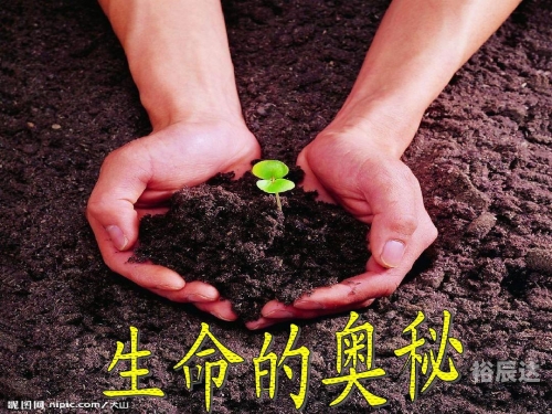 超级天医TXT超级天医，探寻生命奥秘的神秘力量-第3张图片