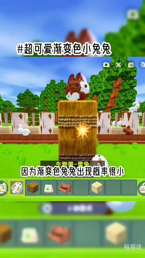兔兔网红兔兔网，探索兔兔世界的网络家园-第2张图片