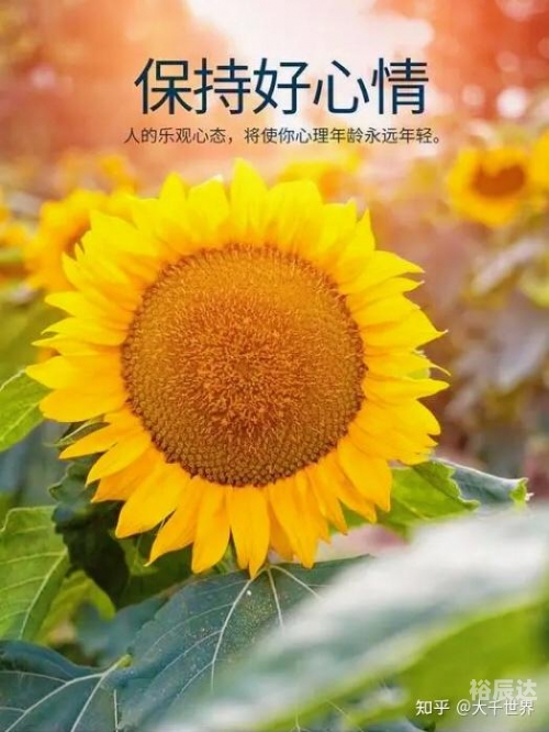 天天双十一天天双十一，购物狂欢节盛宴-第2张图片
