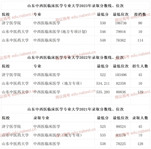 山东高考分数线2021一本,二本,专科分数线山东高考分数线2021，分析与展望-第1张图片