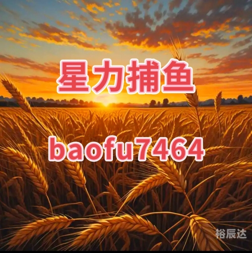 捕鱼星力捕鱼星力，海洋生态与人类捕捞的新篇章-第3张图片