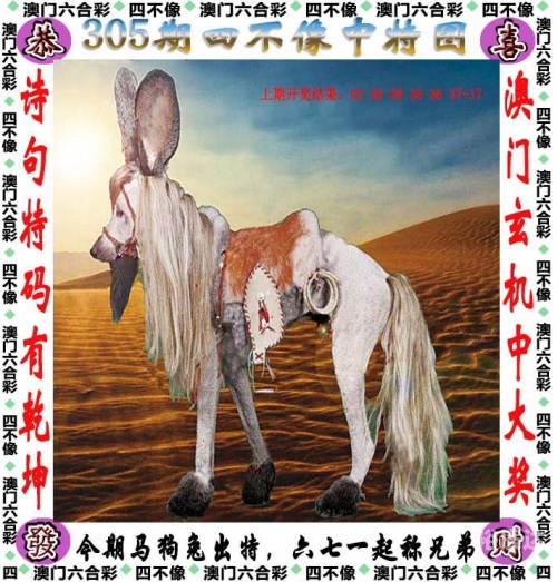 澳门四不像论坛的用户评价澳门四不像论坛，探索多元文化与交流平台-第2张图片