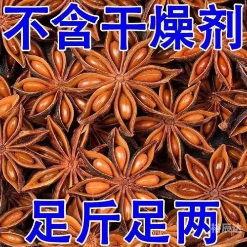 红足1一世网址红足1一世网址，探索神秘的网络世界