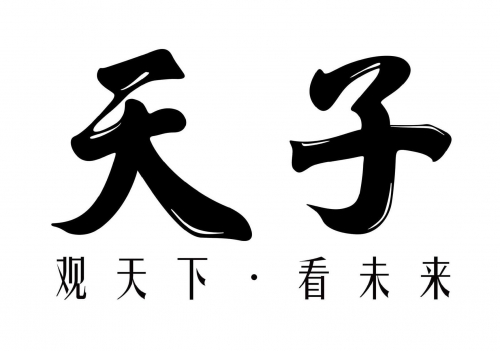 六统天下资料大全六统天下，中华崛起的战略布局-第2张图片