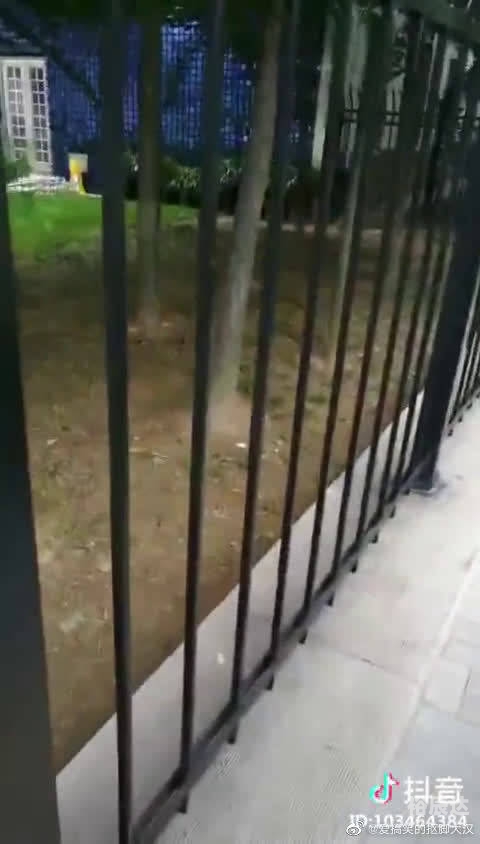 13262 CC马会论坛13262 CC马会论坛，探讨赛事与交流的平台-第1张图片