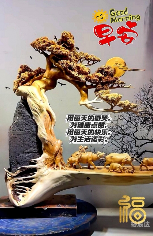 东鳞西爪东鳞西爪，品味生活中的美好瞬间-第2张图片