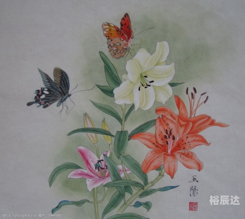 百合图库总站百合图库总站，艺术与美的交汇之地